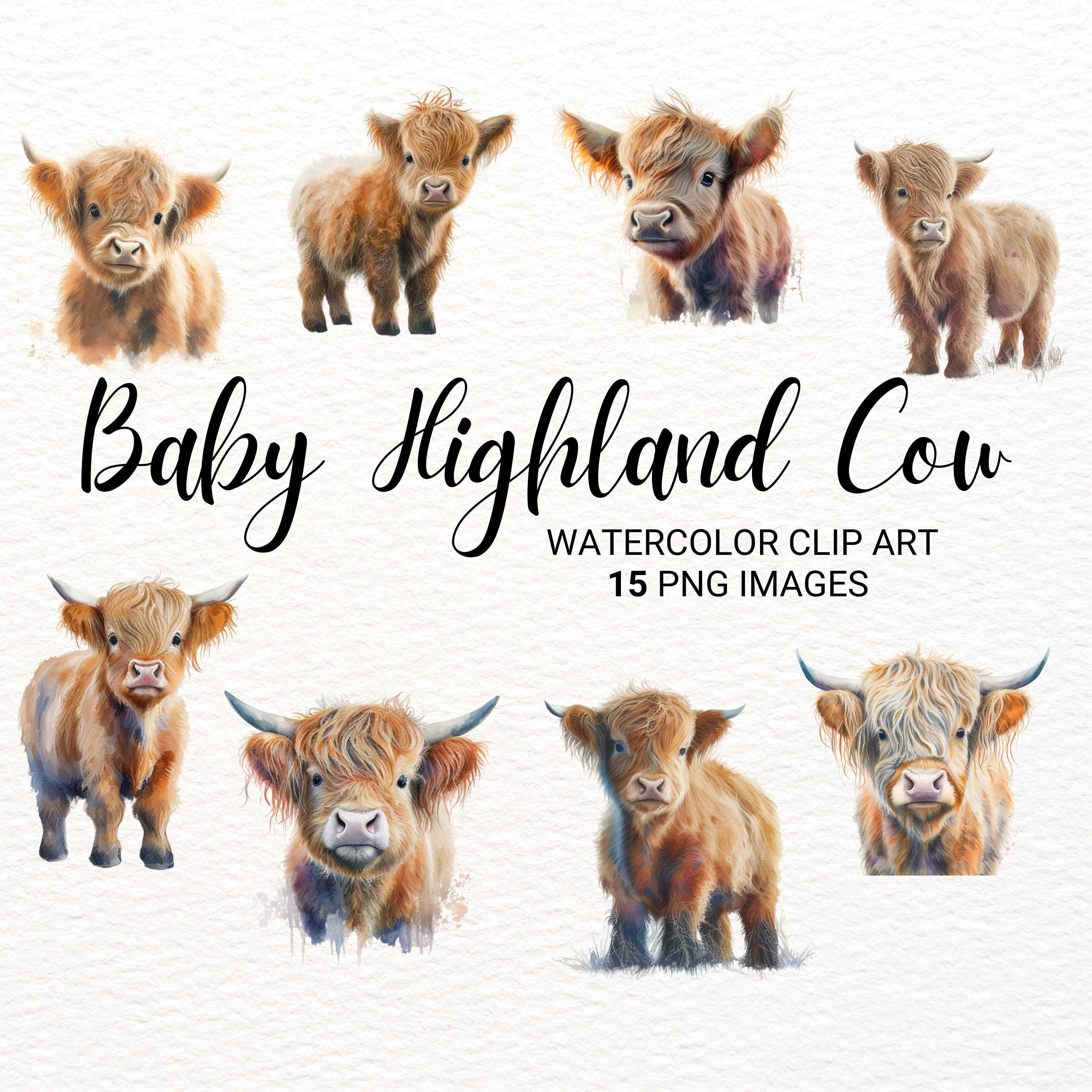 Baby Highland Cow PNG Highland Cow Baby Highland Cow Etsy UK