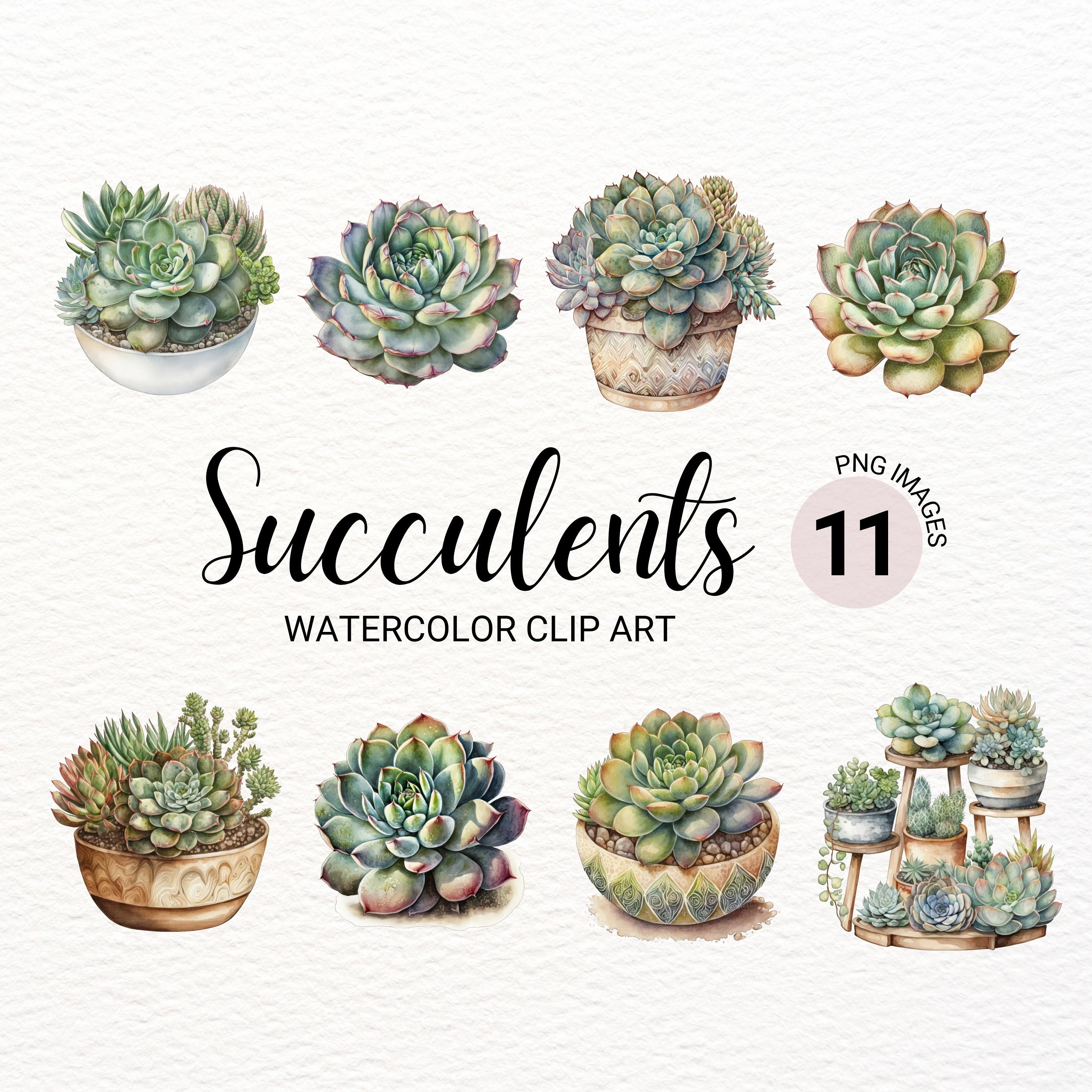 Succulent Notebook, Cute Sketchbook, Watercolor Succulent, Succulent Thank  You Gift, Succulent Desk Accessories, Succulent Favors 