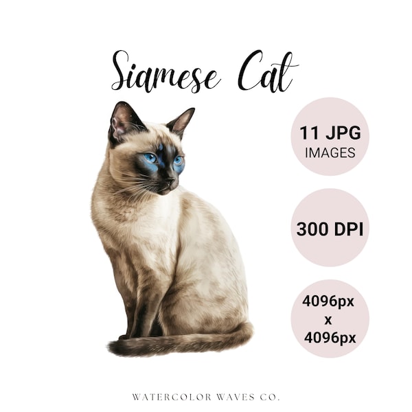 Siamese Cat JPG | Watercolor Siamese Cat Clipart Bundle | Cute Pet Portrait | Kitten JPG | Junk Journal | Digital Planner | Collage Images