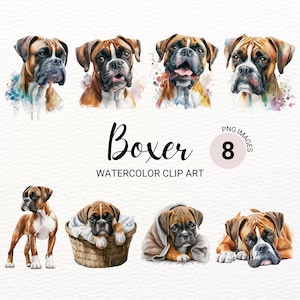 Schattige bokser clipart | Schattige hond clipart | Hond PNG | Aquarel Boxer PNG | Hondenportret | Hondenrassen | Pup-PNG | Commerciële licentie