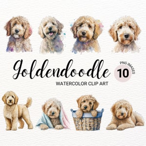 Goldendoodle Clipart | Hund PNG | Golden Doodle PNG | Süßer Hund Clipart | Kinderzimmer Clipart | Hund Aquarell | Welpen Bilder | Kommerzielle Lizenz