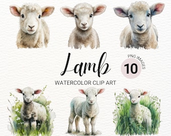 Watercolor Baby Lamb Clipart Cute Lamb PNG Commercial Use Baby Farm ...