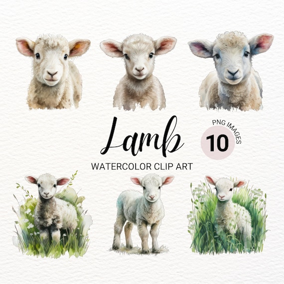 Baby Lamb Clipart | Lamb PNG | Baby Animals | Farm Animals PNG | Baby Sheep | Nursery Wall Art | Cute Animals Clipart