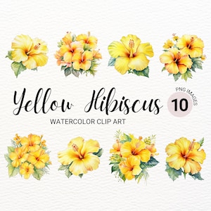 Gelber Hibiskus Clipart Bundle | Aquarell Sommerblumen PNG | Floral Junk Journal | Hochzeitseinladung | Digitaler Planer | Collage Bilder