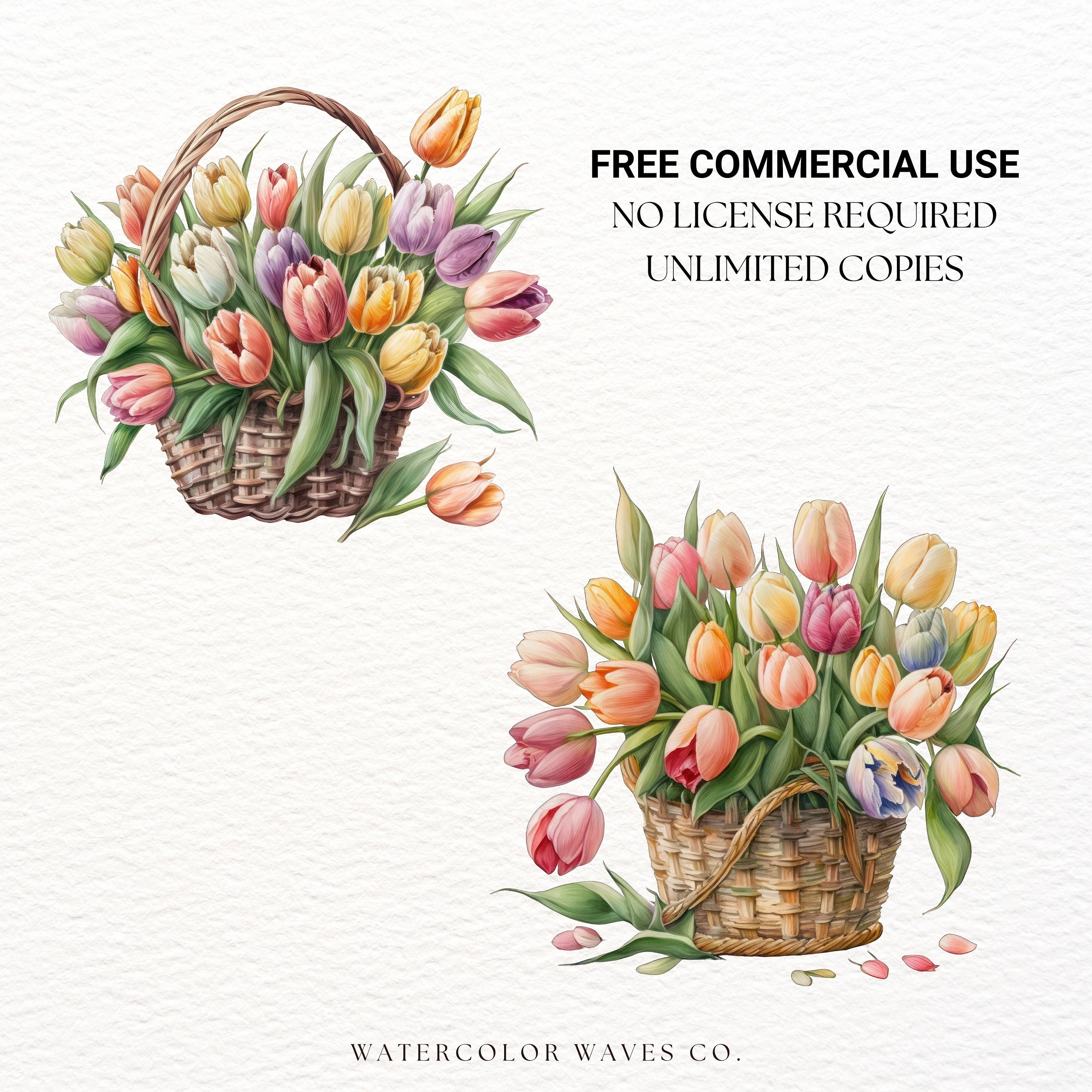 Tulip Clipart | Watercolor Tulip PNG | Floral PNG | Summer Clipart ...