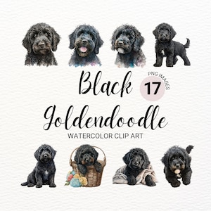 Clipart Labradoodle noir | Chien PNG | Goldendoodle noir | Griffonnage noir | Clipart chien | Aquarelle de chien | Images de chiot | Griffonnage doré