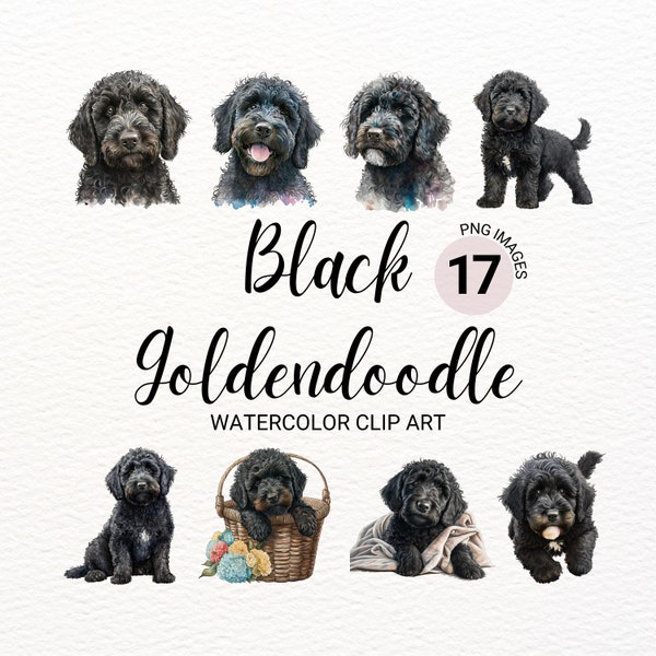 Black Labradoodle Clipart | Dog PNG | Black Goldendoodle | Black Doodle | Dog Clipart | Dog Watercolor | Puppy Images | Goldendoodle Art