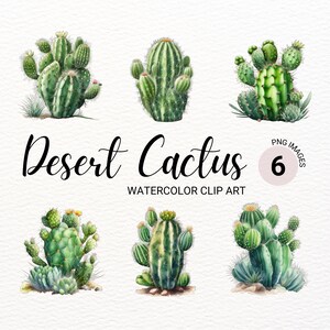 Cactusprint | Schattige cactus clipart | Aquarel Cactus PNG | Westerse clipart | Woestijncactus | Kawaii-illustraties | Commerciële licentie