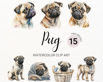 Mops Clipart | Hond PNG | Mopshond Clipart | Schattige hond clipart | Hondenportret | Hond aquarel | Puppy-afbeeldingen | Commerciële licentie