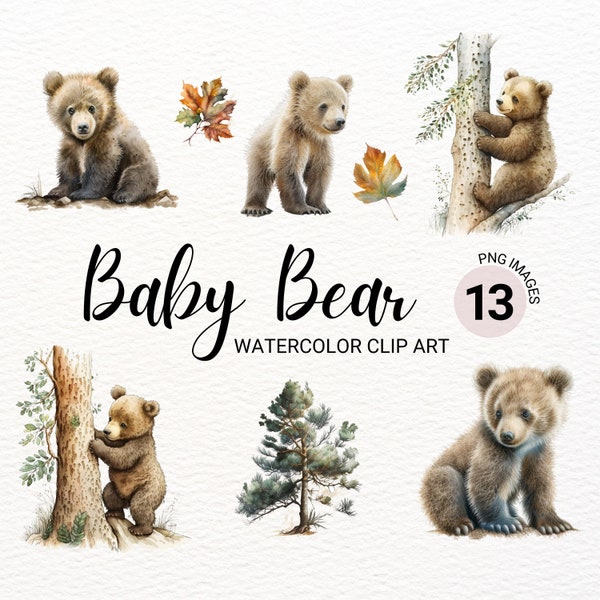 Baby Bear Clipart | Watercolor Clipart Bear | Woodland Animals | Cute Forest Animals | Baby Bear PNG | Baby Animals Print