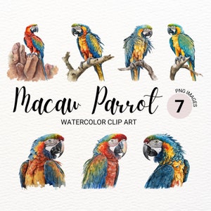 Watercolor Macaw Parrot Clipart | Bird Clipart | Jungle Bird PNG | Digital Planner | Safari Animals | Digital Download | Clipart Bundle