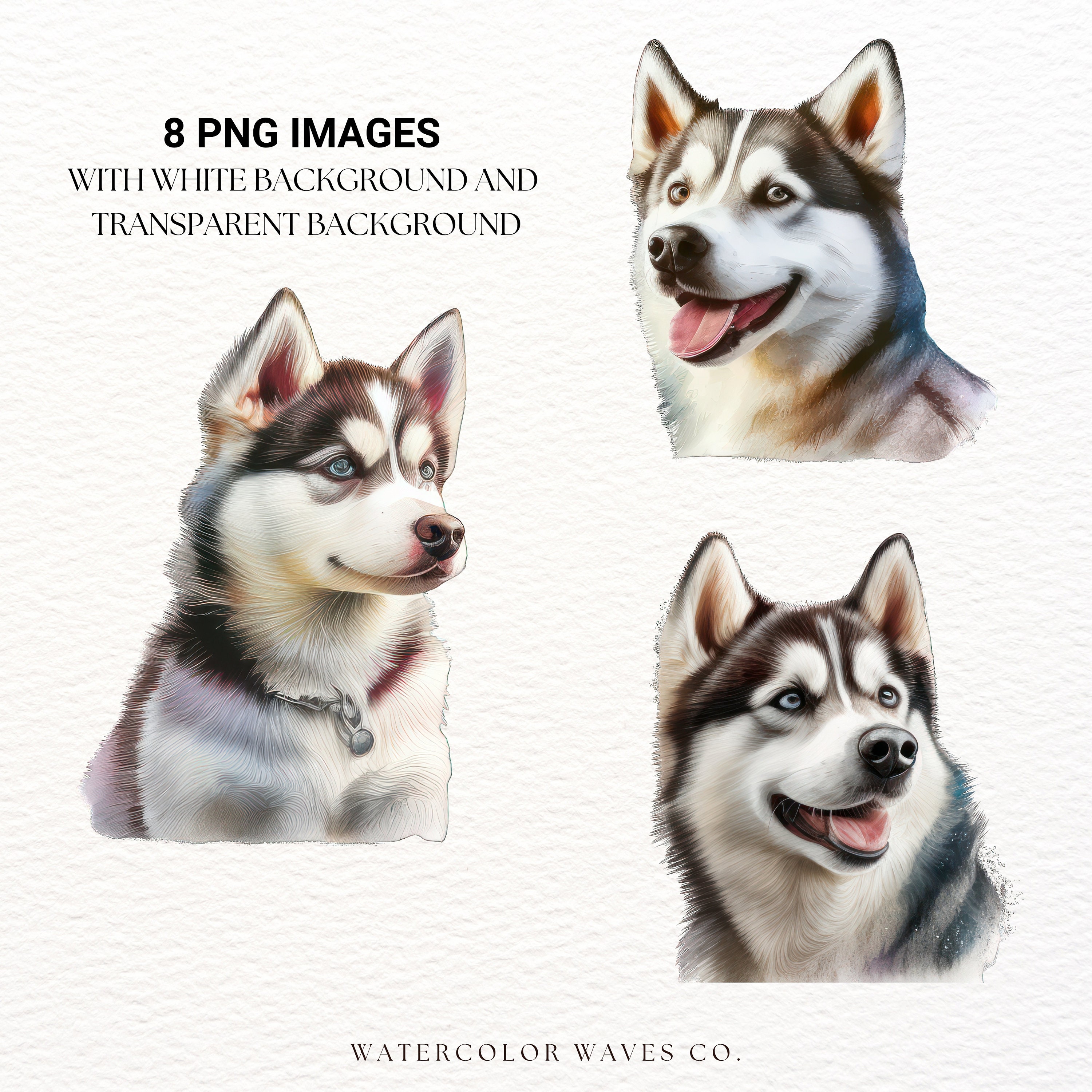 Siberian Husky Clipart | Husky Dog PNG | Watercolor Dog Portrait | Cute ...