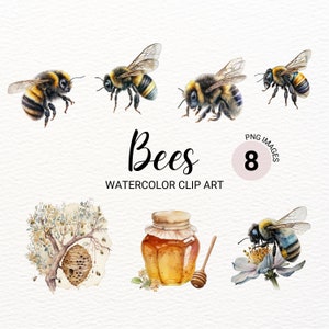 Watercolor Bumblebee Clipart | Bee PNG | Summer Clipart | Honeybee Clipart | Honey Jar | Insect Clipart | Commercial License