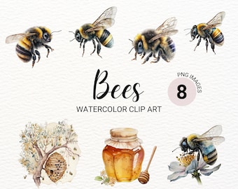 Watercolor Bumblebee Clipart | Bee PNG | Summer Clipart | Honeybee Clipart | Honey Jar | Insect Clipart | Commercial License