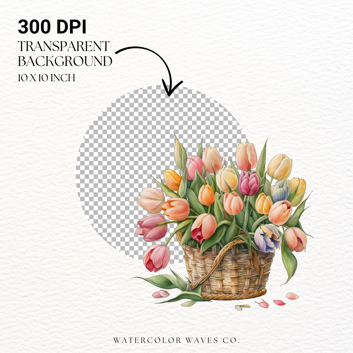 Tulip Clipart | Watercolor Tulip PNG | Floral PNG | Summer Clipart ...