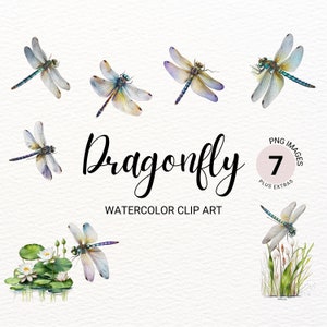 Dragonfly Watercolor PNG | Watercolor Dragonfly Clipart | Dragonfly Art | Water Lilies Clipart | Insect Clipart | Commercial License