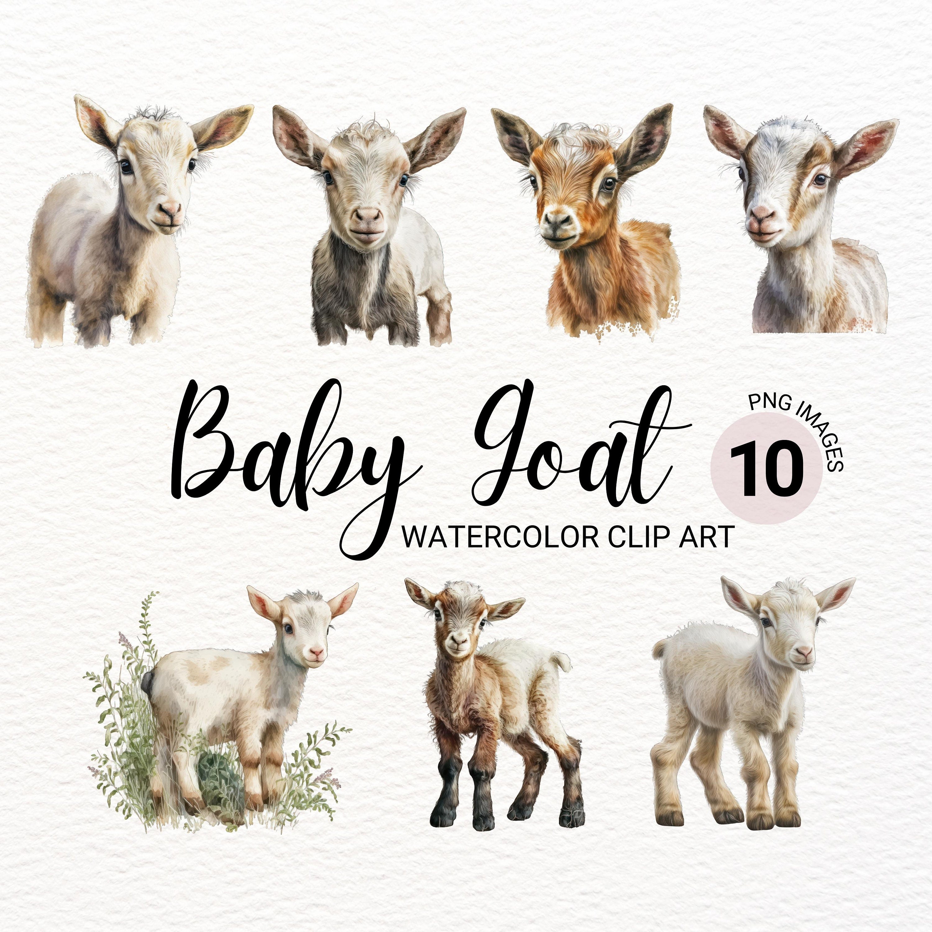 Baby Goat Clipart Farm Animals PNG Baby Animals Etsy Hong Kong