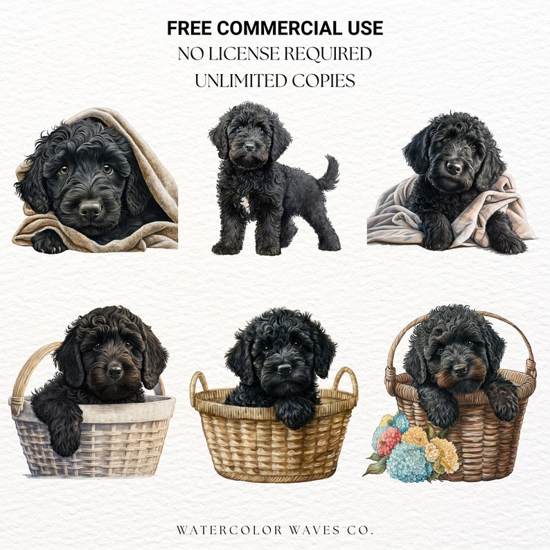Black Labradoodle Clipart | Dog PNG | Black Goldendoodle | Black Doodle ...