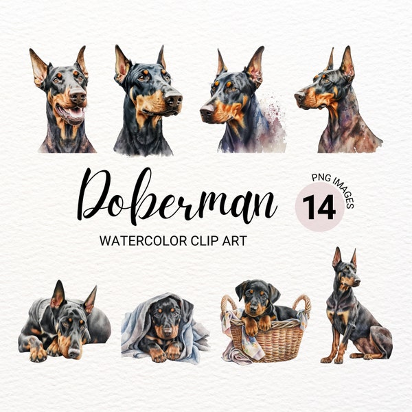 Doberman Clipart | Dog PNG | Doberman Puppy Clipart | Doberman Art | Cute Dog Clipart | Dog Portrait | Dog Watercolor | Puppy Images