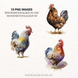 Watercolor Chicken PNG | Baby Animals | Baby Chick Clipart | Farm ...