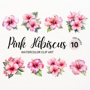 Rosa Hibiskus Clipart | Aquarell Sommerblumen PNG | Floral Junk Journal | Hochzeitseinladung | Digitaler Planer | Collage Bilder