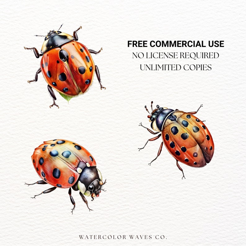 Watercolor Ladybug Clipart | Insect Clipart | Junk Journal | Flower ...