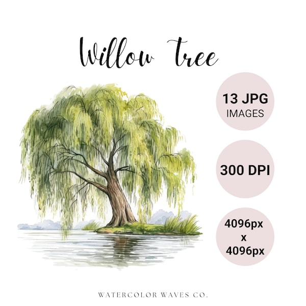 Willow Tree Clipart | Watercolor Floral JPG | Junk Journal | Digital Planner | Digital Paper Craft | Invitation Card | Instant Download