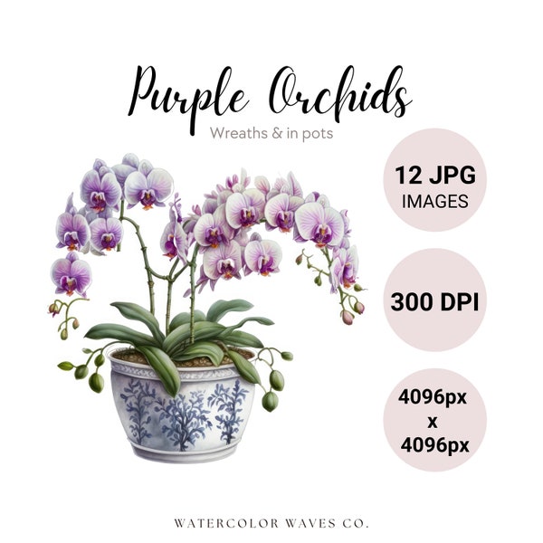 Lot de cliparts orchidées violettes | Aquarelle de fleurs de printemps JPG | Journal floral indésirable | Faire-part de mariage | Images de l'agenda numérique