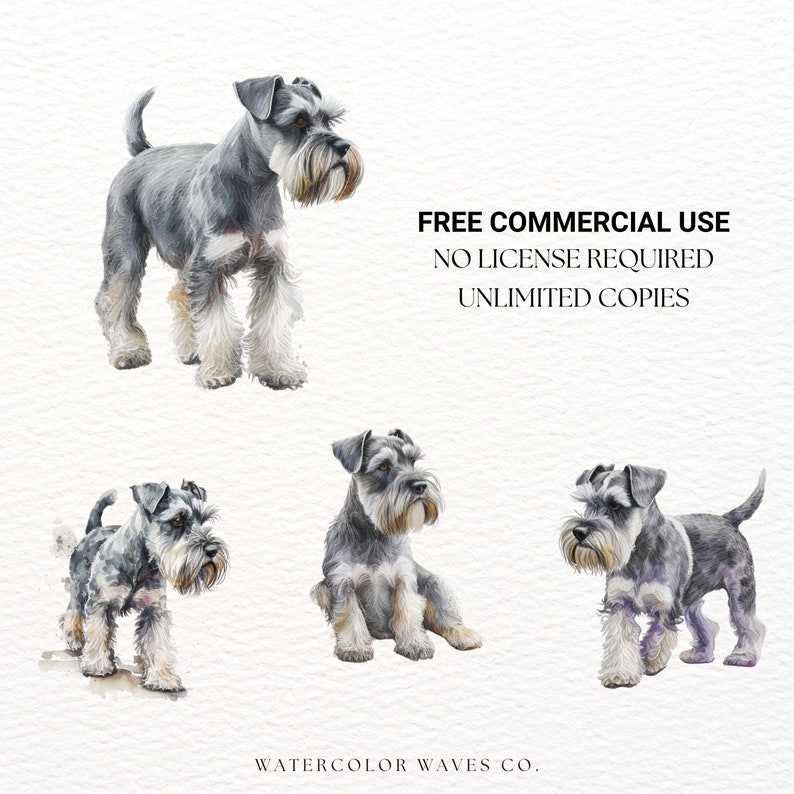 Miniature Schnauzer Clipart Cute Dog Clipart Dog PNG Etsy UK