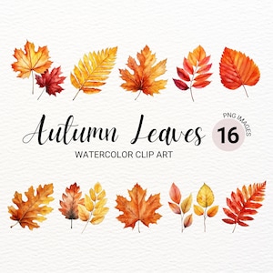 Herbstlaub Clipart | Herbst Blatt PNG | Aquarell Blumen PNG | Digitaler Planer | Junk Journal | Papiermodelle | Clipart-Bundle
