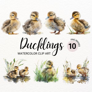 Canetons duveteux PNG | Clipart poussins | Bébés canards PNG | Aquarelle de canard | Bébés animaux | Animaux de la ferme PNG | Décoration murale pour chambre d&#39;enfant