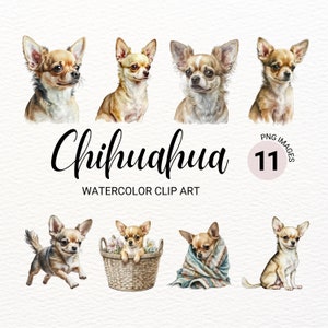 Chihuahua Clipart | Hund PNG | Aquarell Hund Clipart | Hundeportrait | Welpen Bilder | Kinderzimmer Wand Kunst | Junk Journal | Digitales Papiermodell