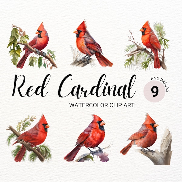 Red Cardinal PNG | Red Cardinal Bird | Cardinal Clipart | Watercolor Bird Clipart | Cute Bird PNG | Colorful Bird | Digital Paper Craft