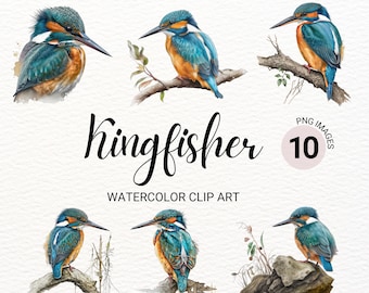 Kingfisher Clipart | Bird Clipart | Watercolor Kingfisher | Cute Blue Bird PNG | Bird Wall Art | Animal Clipart | Digital Paper Craft