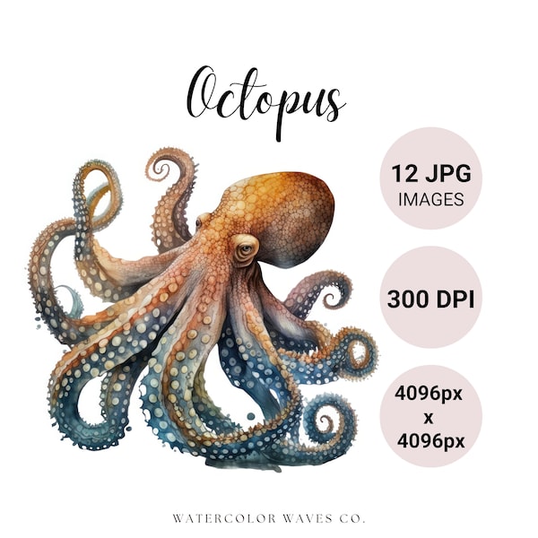 Octopus Watercolor Clipart | Sea Life Octopus JPG | Kawaii Clipart Bundle | Junk Journal | Digital Paper Craft | Instant Download