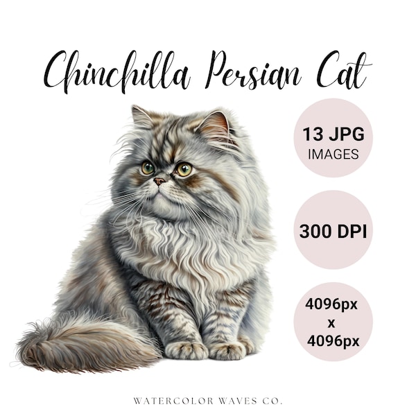 Chinchilla Persian Cat Clipart | Watercolor Persian Cat Clipart Bundle | Cute Pet Portrait | Kitten JPG | Junk Journal | Digital Planner