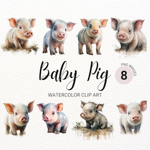 Baby Pig Clipart | Piglet PNG | Cute Pig | Baby Animals Prints | Farm Animals Clipart | Watercolor Pig | Commercial License