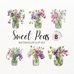 Clipart Petits pois dans un vase | Floral PNG | Clipart fleur aquarelle | Créations numériques en papier | Téléchargement instantané | Fabrication de cartes printanières
