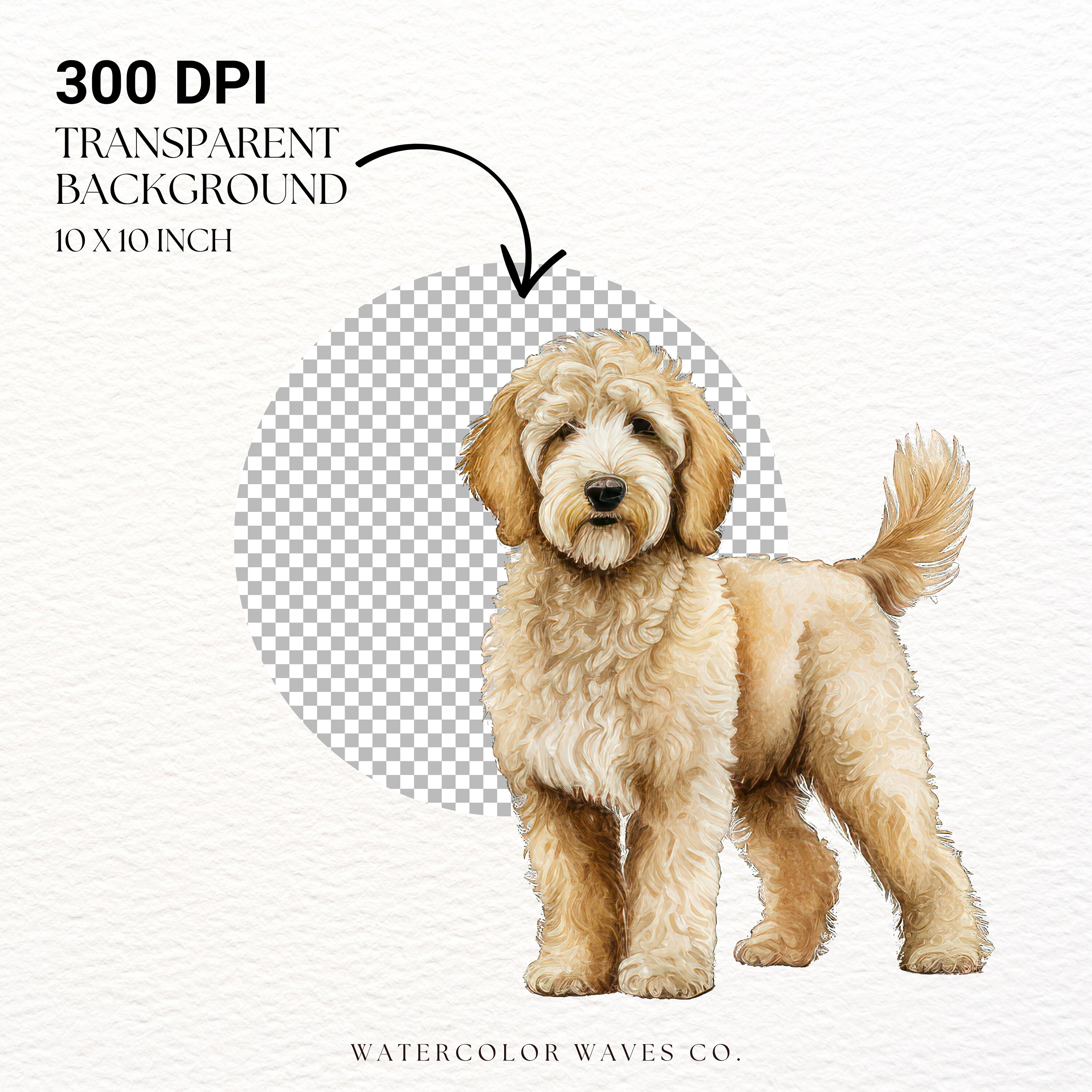 Goldendoodle Clipart | Dog PNG | Golden Doodle PNG | Cute Dog Clipart ...