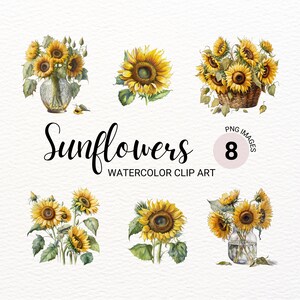 Tournesol PNG | Clipart tournesol aquarelle | Floral PNG | Clipart fleurs | Faire-part de mariage | Arrière-plan transparent PNG