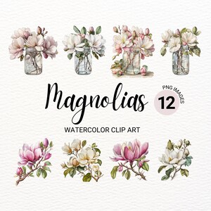 春のマグノリア PNG | 水彩マグノリア クリップアート バンドル | マグノリアの木 | 花のクリップアート | 花柄 PNG | ジャンク ジャーナル | デジタル プランナー