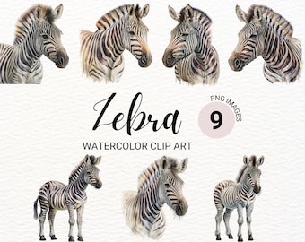 Zebra Clipart | Watercolor Zebra PNG | Safari Animals Clipart Bundle | Junk Journal | Nursery Wall Art | Digital Planner | Paper Craft