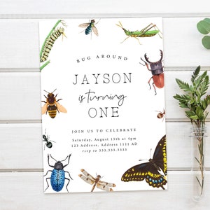 Insect Birthday Party Invitation: Printable Bug Theme (Digital Download)