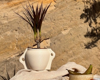 Kyma | Beige | Décoration minimale | Jardinière imprimée en 3D | Respectueux de l'environnement | Pot de fleurs avec système de drainage | Pot succulent | Petit cache-pot