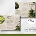 Matcha Tea Trifold Brochure, Matcha Benefits Template, Printable Matcha ...