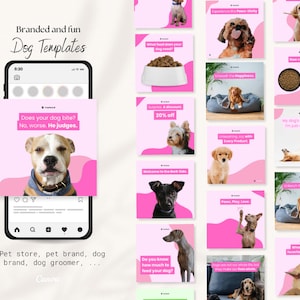 Engaging Dog Instagram Story Template | Dog Grooming Shop Promotion | Social Media Marketing | Pet Lover Blogger Vet Canva Template | Pink