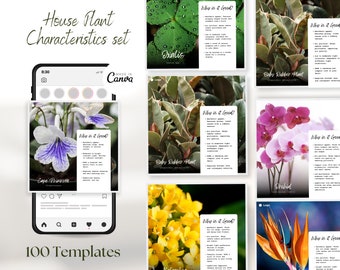 Educational Houseplant Profiles | Informative Templates for Plant Enthusiasts | Instagram, Pinterest, Facebook | Canva Social Set