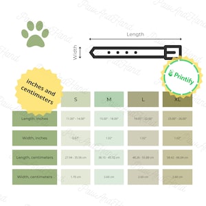 Dog Collar Size Chart In Inches And Centimeters C4 Dog Collar Sizing Guide Printify Dog Collar Sizez Dimensions Pet Accessories POD Sizes