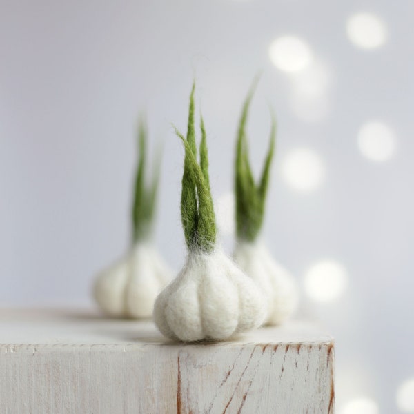 Nadel gefilzte Knoblauch Satz von drei, Ostern Ornament, Sommer Tisch Dekor, Nadel Filz Obst und Gemüse, künstlich, Waithe Küche Dekor