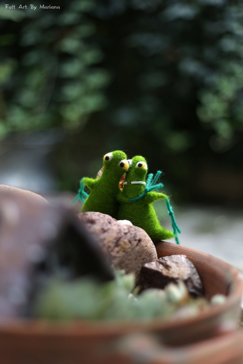 Needle Felted Frogs, Hugged Frogs, Newly-weds Gift, Needle Felt Animals, Christmas, Weeding, Valentine Gift Idea, Cake Topper, Anniversary image 5